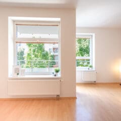 A bright, empty room with light wooden floors and large windows allows natural light to pour in, highlighting recent structural renovations. White walls and a few potted plants and decor items sit on the windowsill and floor.
